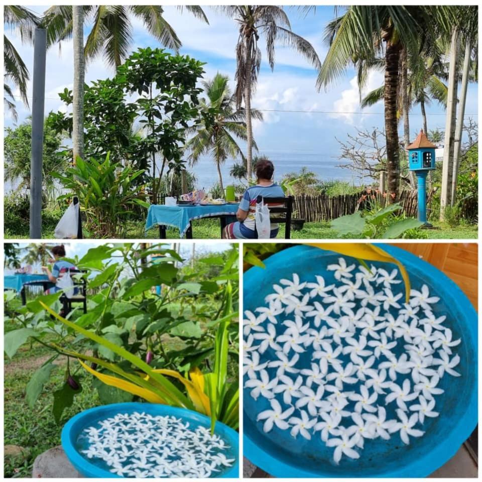 Tehan Homestay Dikwella Camera foto